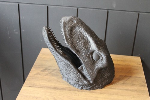 Large dinosaur head