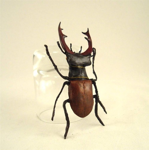 Franz bergmann vienna - franz, stag