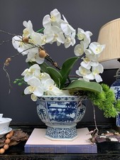 Elegant Orchid Blue and White