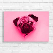 Adorable Pug Puppy Pink Canvas Print Large Picture Wall Art