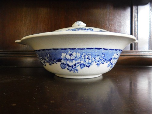 Britannia pottery peony - britannia,