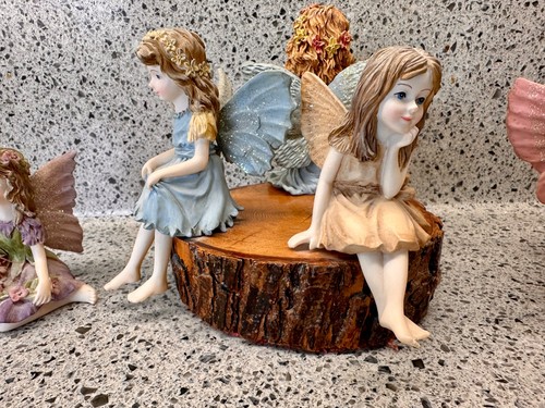 The fairy collection - the, by