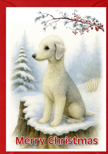 Bedlington terrier dog - bedlington,