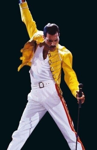 Freddie mercury unsigned - freddie,