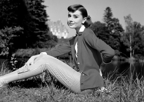 Audrey hepburn monochrome - audrey,