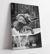 Elephant splashing bath - elephant,
