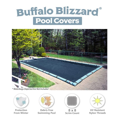 Buffalo blizzard economy - blizzard,