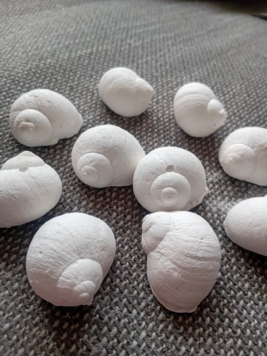 Calcium blocks for - calcium, snails
