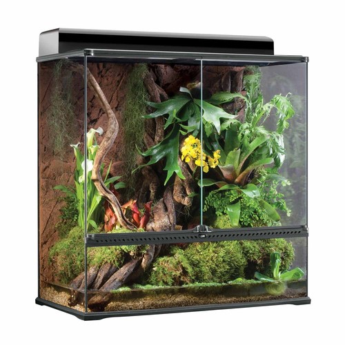 Exo terra terrarium paludarium - exo,