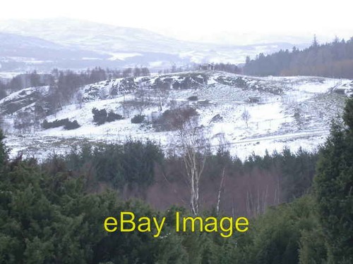 Photo 6x4 wildlife - photo,