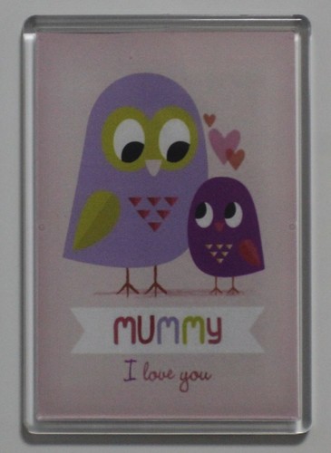 Extra large fridge magnet - extra,