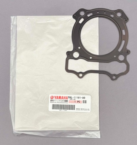 Engine cylinder head gasket - engine,