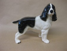 Vintage Springer Spaniel