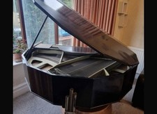 Rogers eungblut baby grand - eungblut,