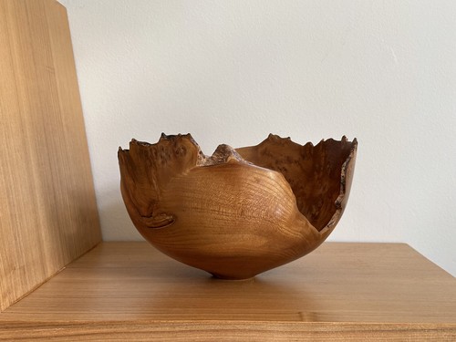 Burr elm bowl natural edge - elm,
