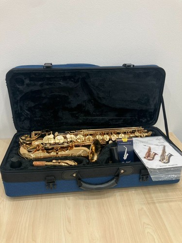 Buffet crampon alto saxophone - alto,