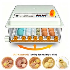 Digital egg incubator - digital,