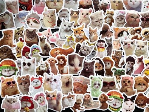 Cat kitten vinyl stickers - cat,