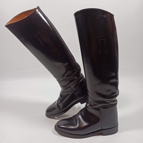 Regent womens long - womens,