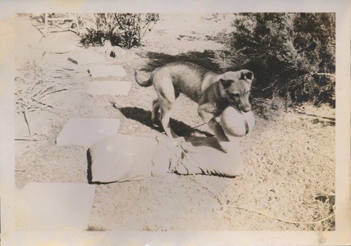 Snapshot vintage photo cute - vintage,