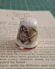 The Little Owl by Oakley, fine bone china, Thimble Collectors Club, Boxed
