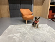 Swoon John Lewis Elysse