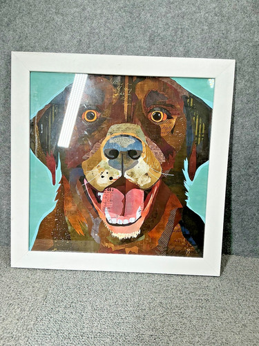 Brown labrador dog picture - dog,