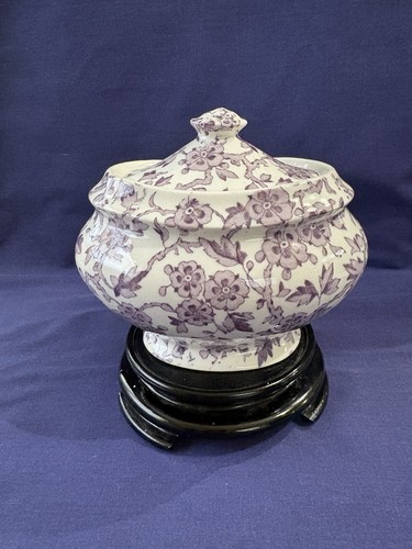 Royal crownford arden purple - crownford,