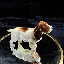 Beswick Porcelain English Springer Spaniel Figurine - Glistening Coat