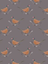 Country Life Reloved: A91.3