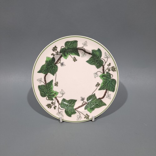 Wedgwood napoleon ivy - “,