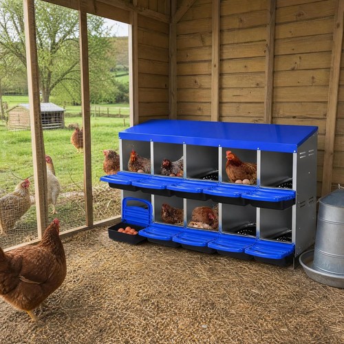 Compartment chicken - 6/8/10-compartment,