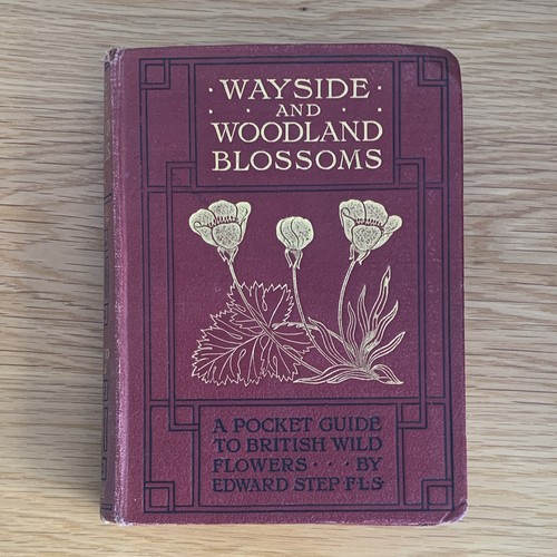 Wayside and woodland - wayside, blossoms