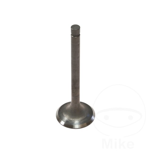 Exhaust valve fits - exhaust,