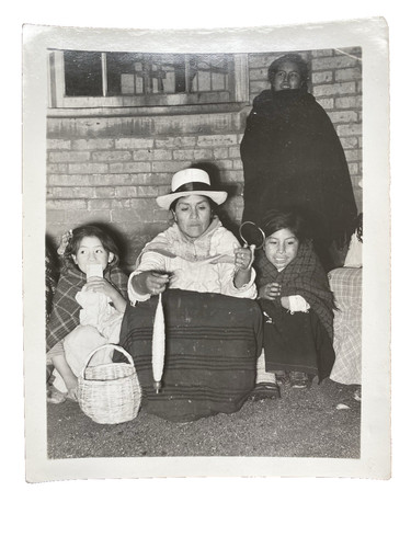South american family woman - south,