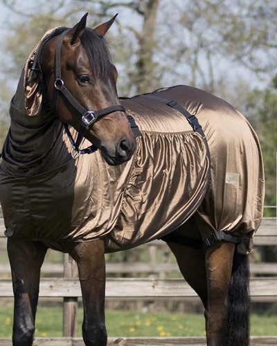 Pagony eczema sweet itch rug - sweet,