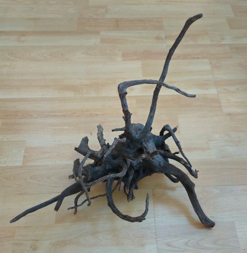 Large piece aquarium - piece,