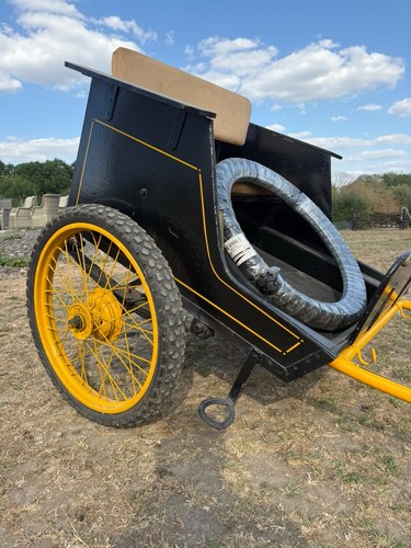 Shetland pony cart and - shetland, harness