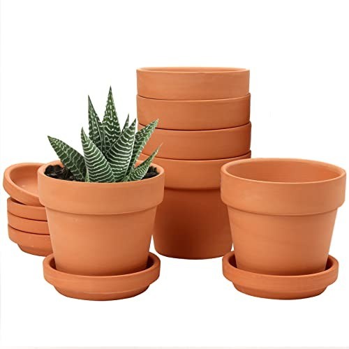 Stylish mini terracotta - mini,