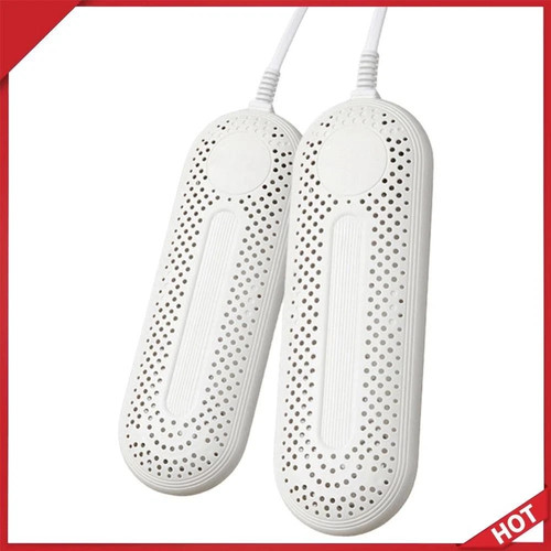 Portable electric shoe - portable, dryer