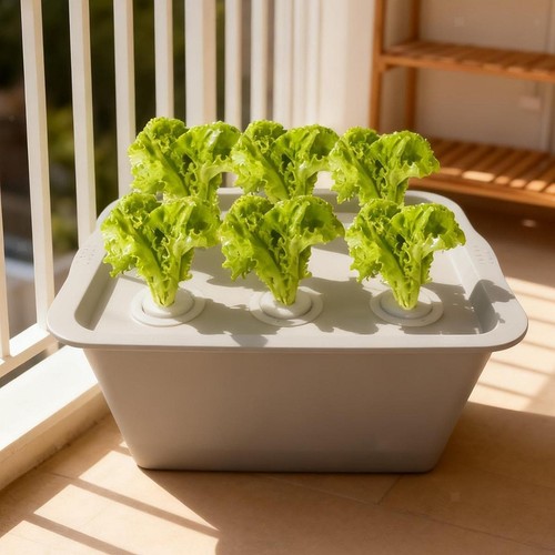 Hydroponic system growing - hydroponic, box