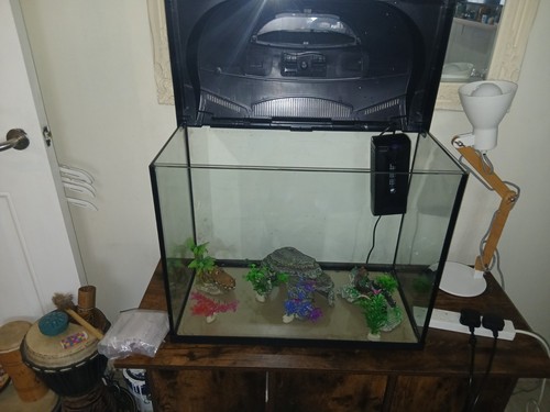 Glass 80l freshwater - glass,