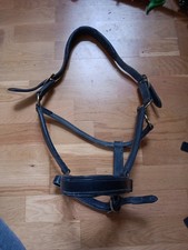 Shires Blenheim Padded Leather Head collar. Full. Black. Brass Fittings