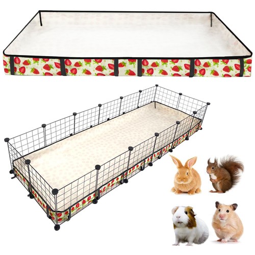 Jogepeyo guinea pig - jogepeyo, cage