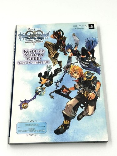 Kingdom hearts birth sleep - kingdom,
