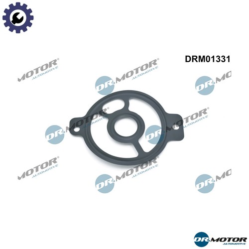 Gasket oil filter - gasket, housing