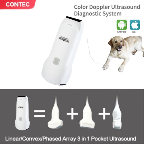 Handheld veterinary ultrasound - handheld,