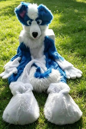 Long fur husky - fur, mascot