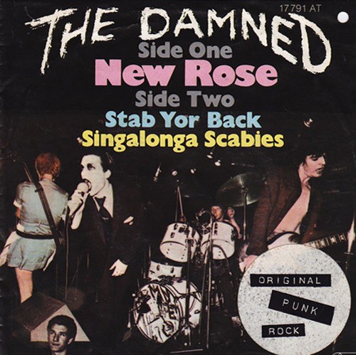 Damned new rose help - help,