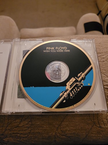 Pink floyd wish - were, here